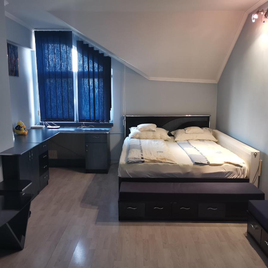 Hotel Vila Angela Felix Sînmartin Exteriér fotografie